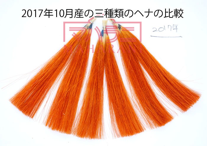 マハラニヘナ選定中