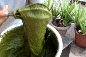 ヘナ石臼挽き