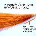 ヘナの発色と酸化