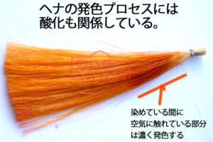 ヘナの発色と酸化