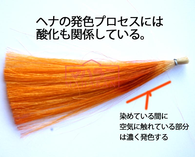 ヘナの発色と酸化