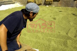 ヘナの葉の天日干し
