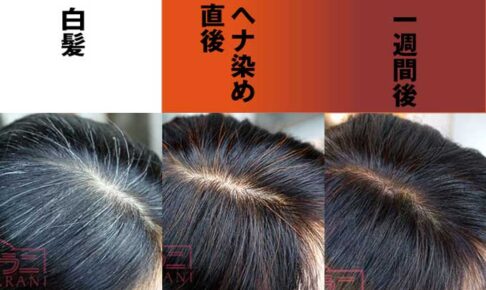 ヘナは三回で色味が落ち着く