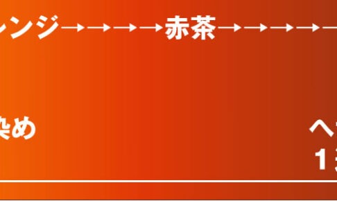 染めた後１週間で色が深化し暗めに発色するマハラニヘナ石臼挽き