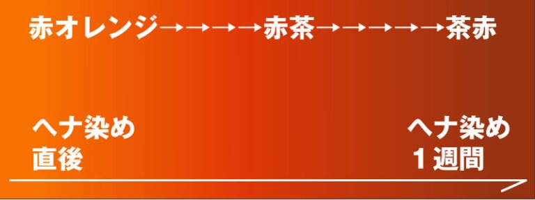 染めた後１週間で色が深化し暗めに発色するマハラニヘナ石臼挽き