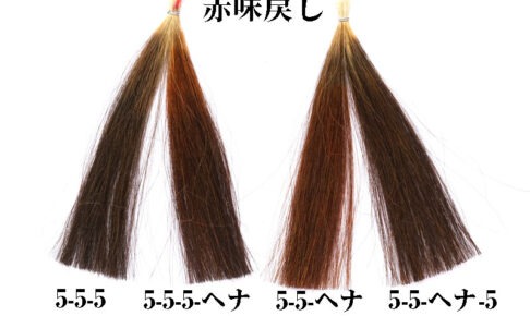 ヘナで赤味戻し