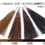 ハーバルカラー５ダークブラウンの発色テスト