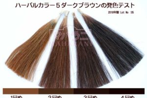 ハーバルカラー５ダークブラウンの発色テスト