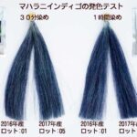 インディゴの染毛テスト結果