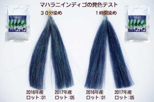 インディゴの染毛テスト結果