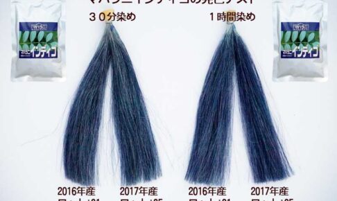 インディゴの染毛テスト結果
