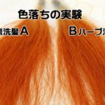 ハーブ洗髪