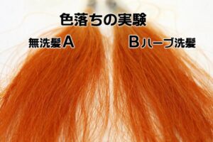 ハーブ洗髪