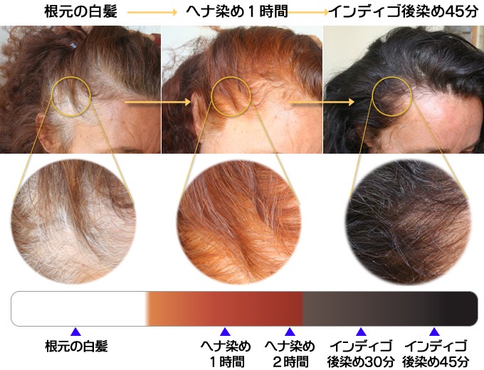 インディゴ後染め