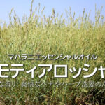 モティアロッシャ