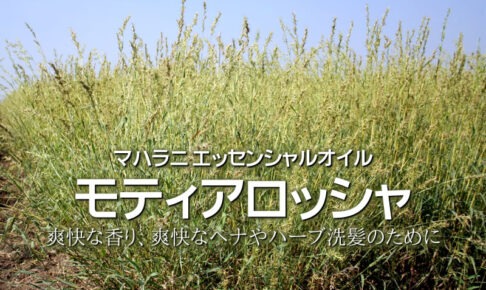 モティアロッシャ