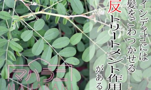 インディゴには髪をごわつかせる反トリートメント作用がある