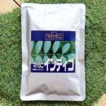 マハラニインディゴ