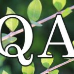 QA