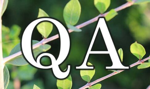 QA