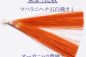 オーガニックヘナの染毛実験
