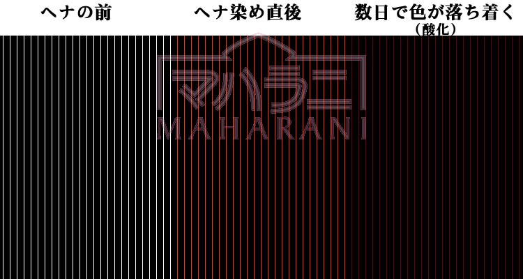 ヘナの発色モデル