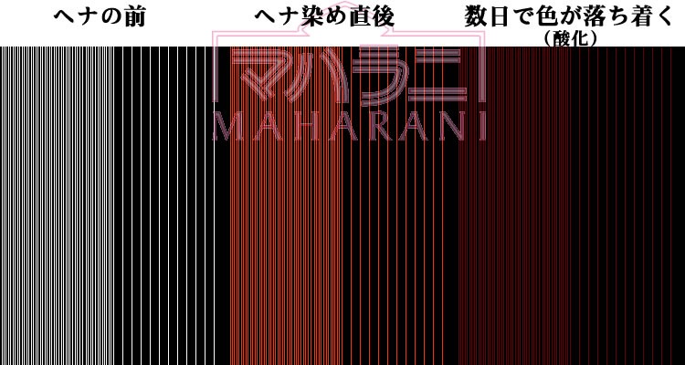 ヘナの発色モデル