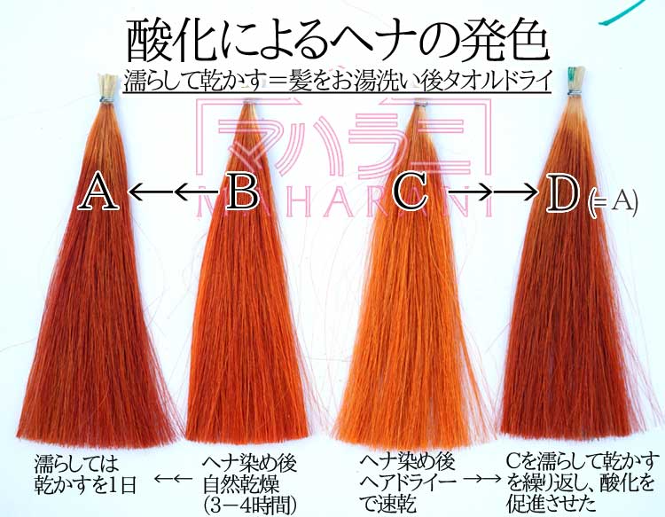 ヘナでしっかり染めるコツ～ヘナの発色は酸化が鍵