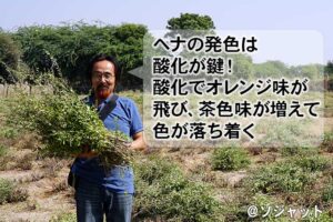 ヘナの染め方のコツ～酸化