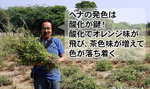 ヘナの染め方のコツ～酸化