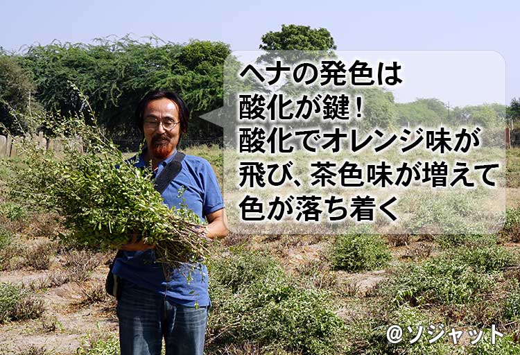 ヘナの染め方のコツ~酸化