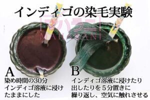インディゴの染毛実験