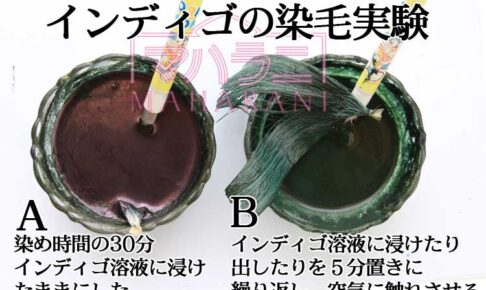 インディゴの染毛実験