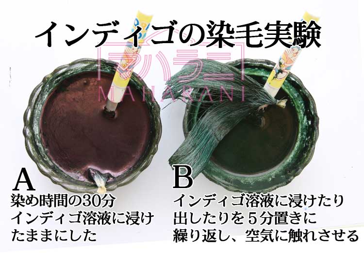 インディゴの染毛実験