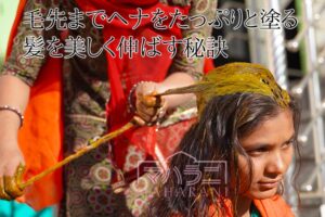 毛先までヘナをたっぷりと塗布する