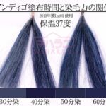 インディゴの塗布時間と染毛力の関係