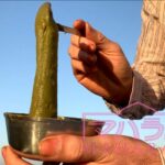 ヘナ石臼挽きの試し溶き