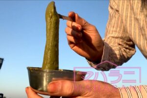 ヘナ石臼挽きの試し溶き