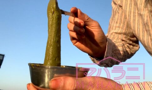 ヘナ石臼挽きの試し溶き