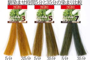 ハーバルカラーの馴染ませ時間と染まりの関係