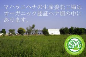 マハラニヘナの生産委託工場はオーガニック認証のヘナ畑