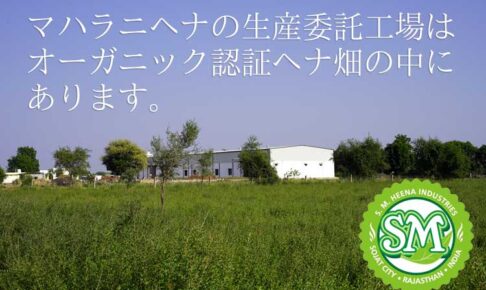マハラニヘナの生産委託工場はオーガニック認証のヘナ畑