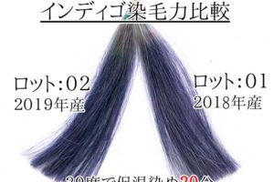 インディゴ染毛力比較