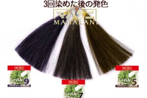 ハーバルカラーのヘナカラー発色