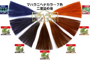 マハラニヘナカラー７色二度染後