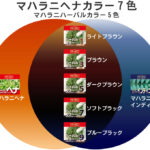 マハラニヘナカラー７色ハーバルカラーの色味