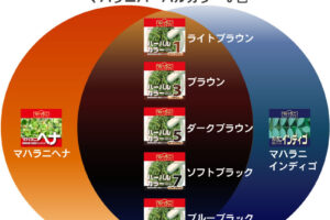 マハラニヘナカラー７色ハーバルカラーの色味