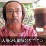 天然の石鹸成分サポニン