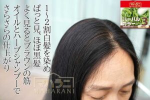 ヘナ白髪染めハーバルカラー３ブラウンの染まりあがり
