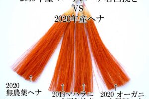 ヘナの染毛力比較